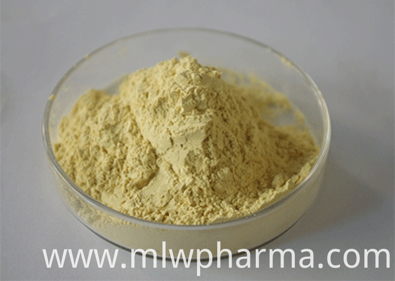 White Kidney Bean Extract White Kidney Bean Extract